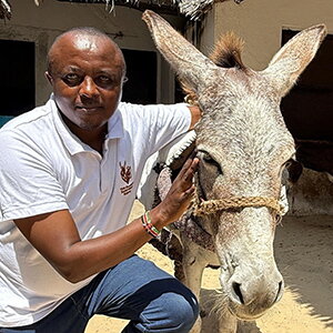‘Het werken voor de ezels maakt mijn dagen betekenisvol en bijzonder’