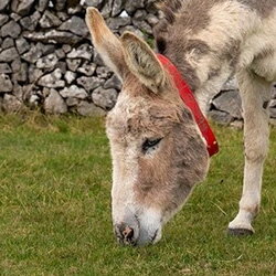 Zo oud en zo gelukkig!