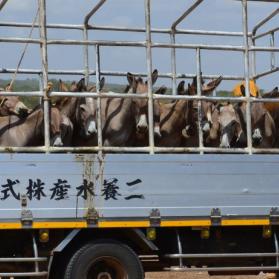 Chinezen slaan terug: extra fondsen nodig!