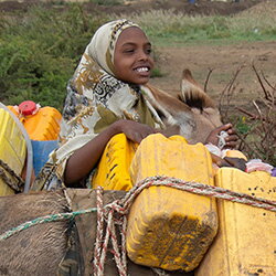 Hoe ezels zorgen voor meer gelijkheid tussen man en vrouw