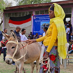 Dertig jaar partnerschap in Ethiopië… en nog vijf jaar erbij