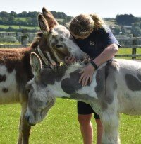 The Donkey Sanctuary schiet andere ezelorganisaties te hulp