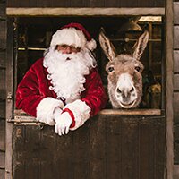 Fijne feestdagen en… denkt u nog één keer aan de ezels?