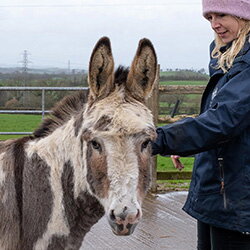 Meneer Jones bijt én steigert niet meer