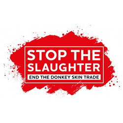 Per jaar zes miljoen vermoorde ezels om hun huid!