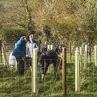 3.000 nieuwe bomen voor de ezels (en andere dieren…)