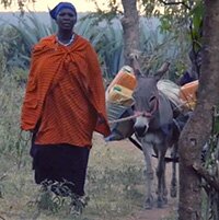 Schoon water voor Noord-Tanzania: dankzij ezels én uw steun!