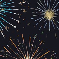 Wat betekenen oudjaar en vuurwerk voor ezels?