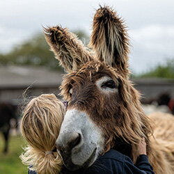 8 mei Wereld Ezeldag