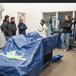 Oh, zit dat zo bij ezels?