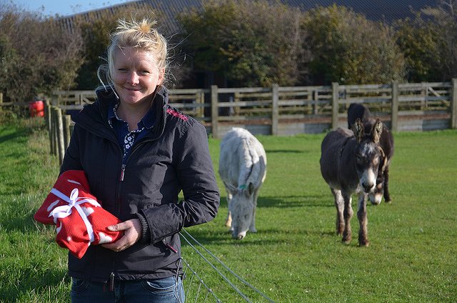 Goed doel dieren The Donkey Sanctuary