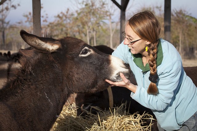 Goede doel voor dieren - deze vrouw steunt de donkey sanctuary