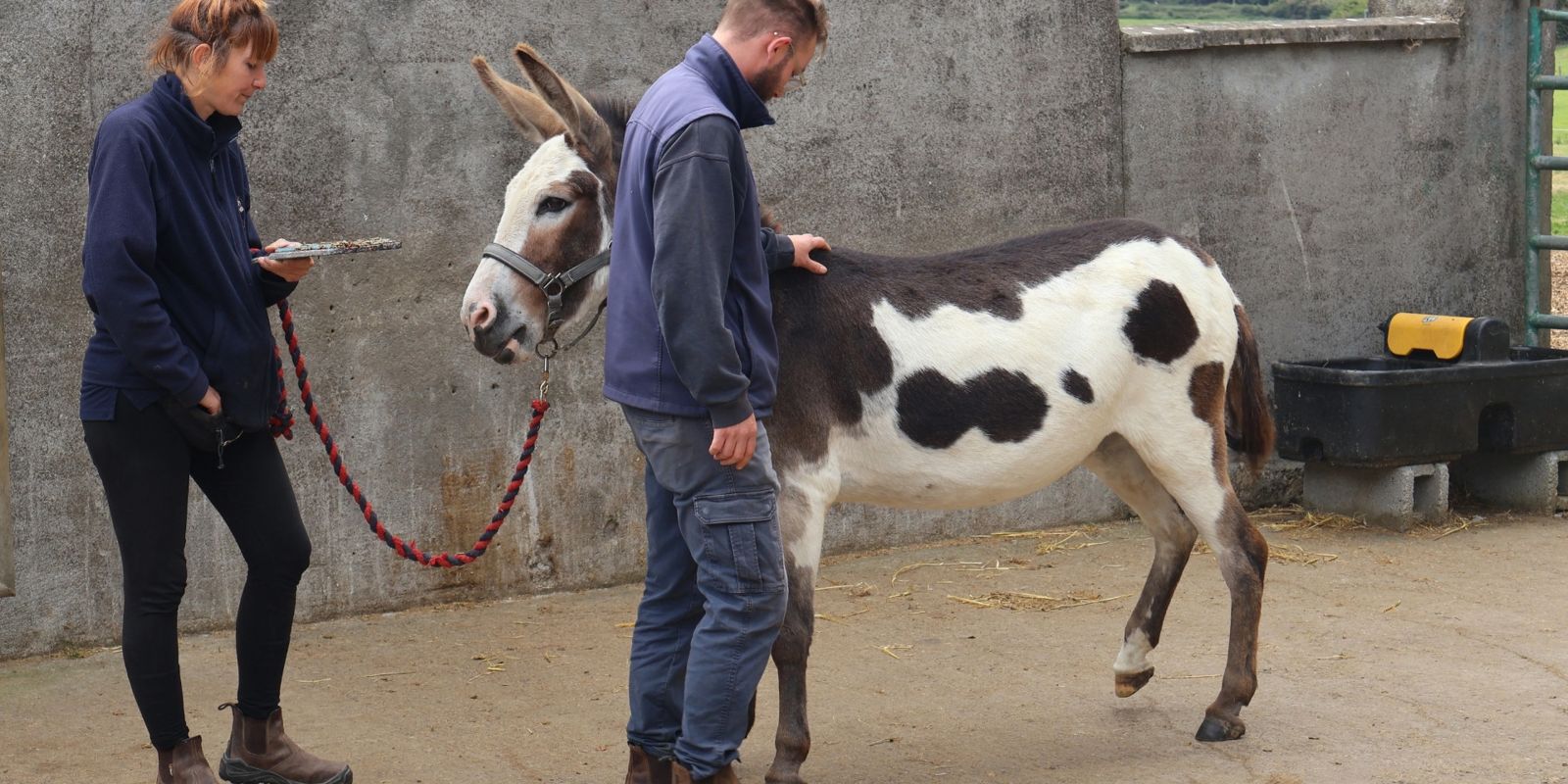 Vicky steeds minder bang