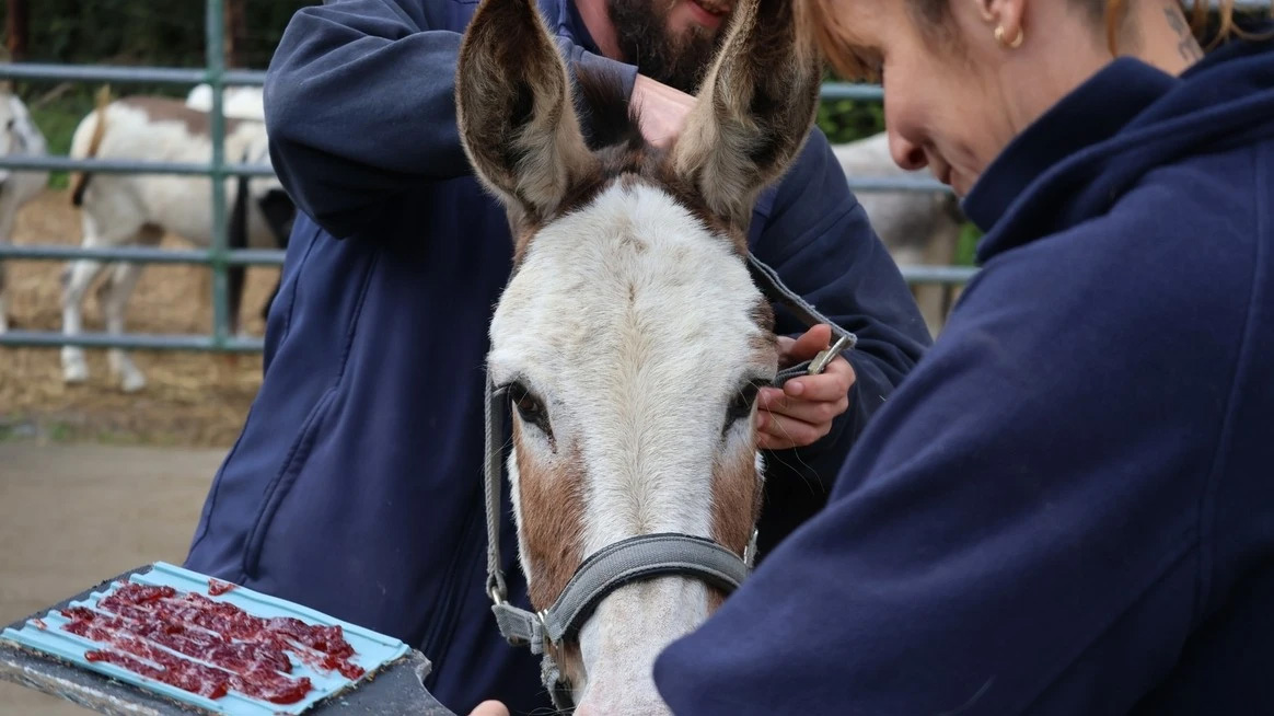 Vicky steeds minder bang