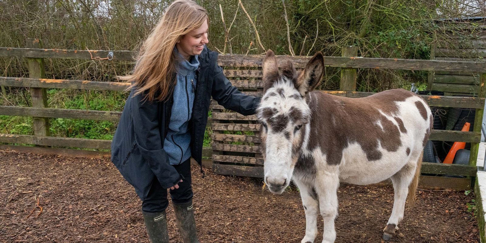 ezelziekenhuis in Sidmouth
