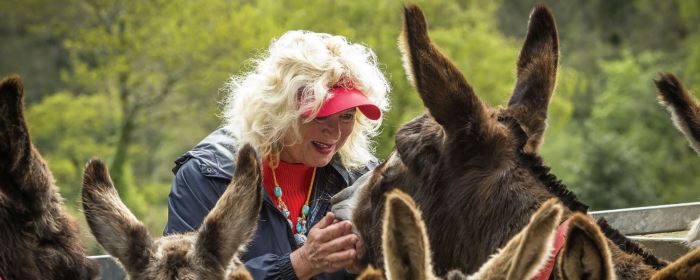 ezel aan het knuffelen