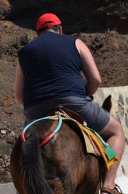 wandelen ezel santorini ezeltoerisme donkey sanctuary